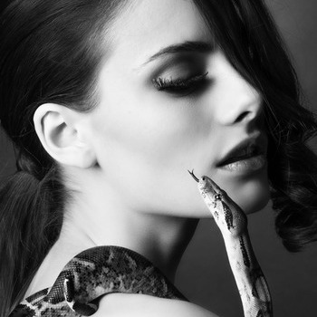 Fabulous Pet / Product / Portrait / People Photographer