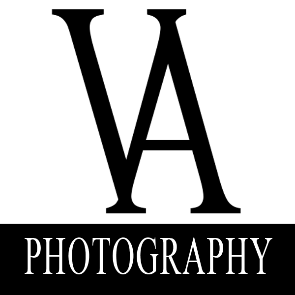 Are you looking for artwork for your home?