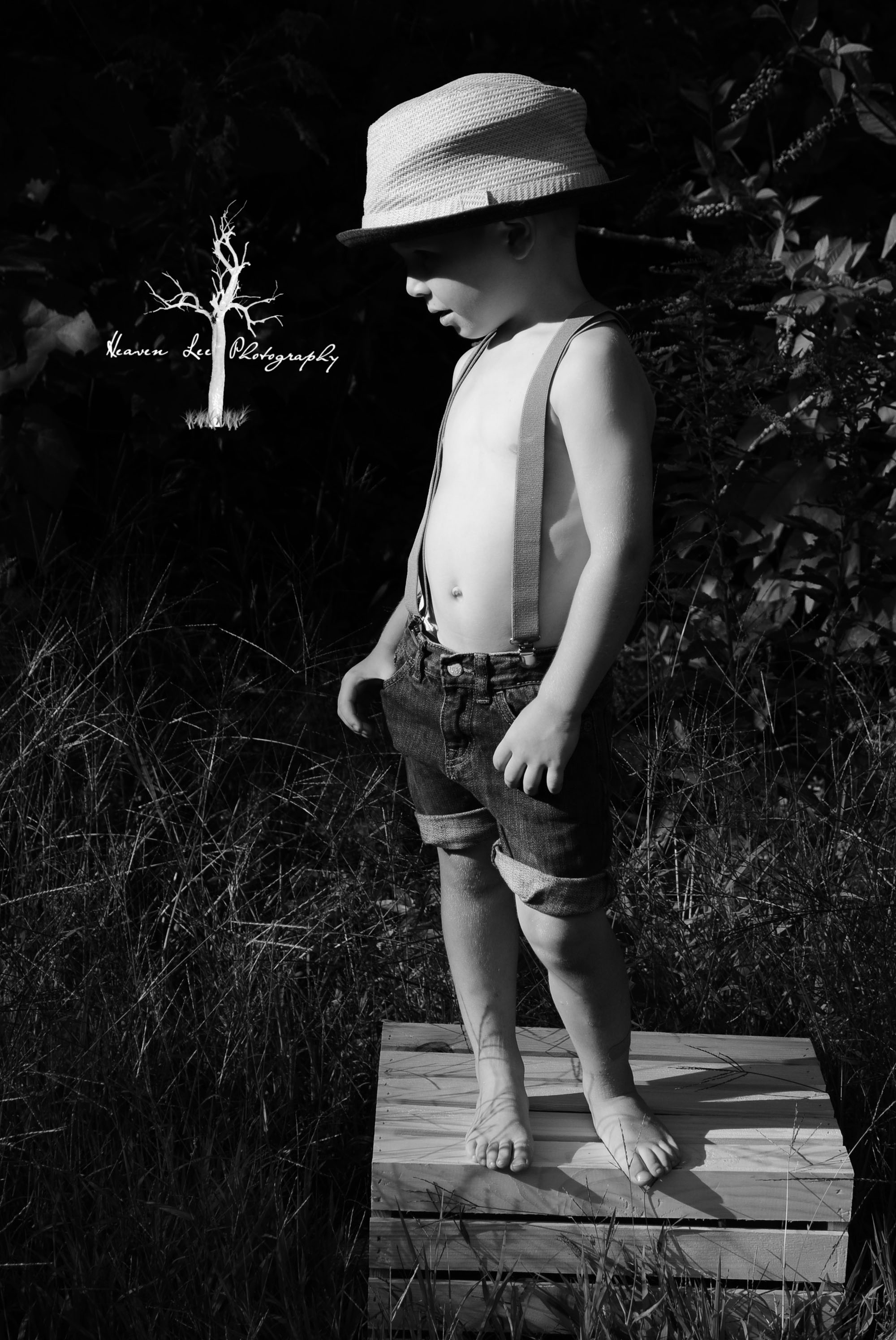 Children,Family, Engagement & Portrait Photographer!