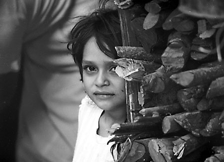 Local Photographer