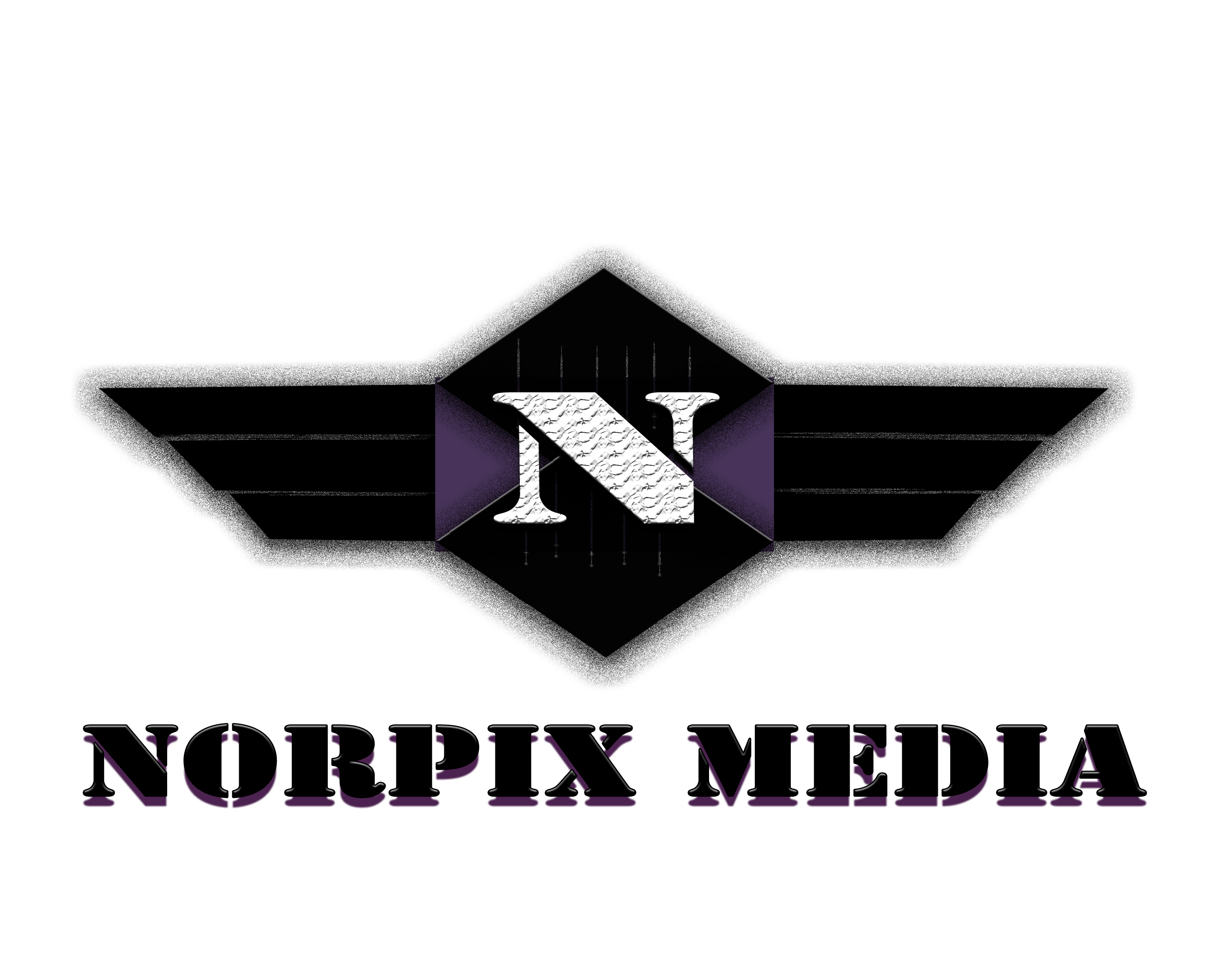 Pixellize Your Special Memories with NorPix Media