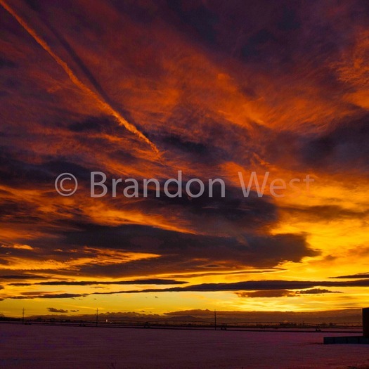 Professional photographer in Conroe