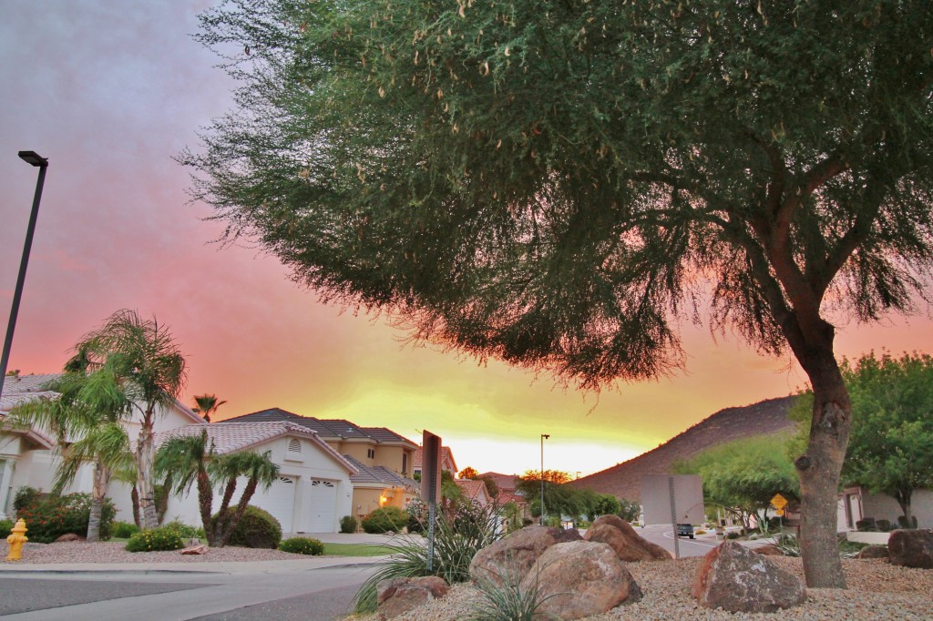 Affordable Real Estate Photography