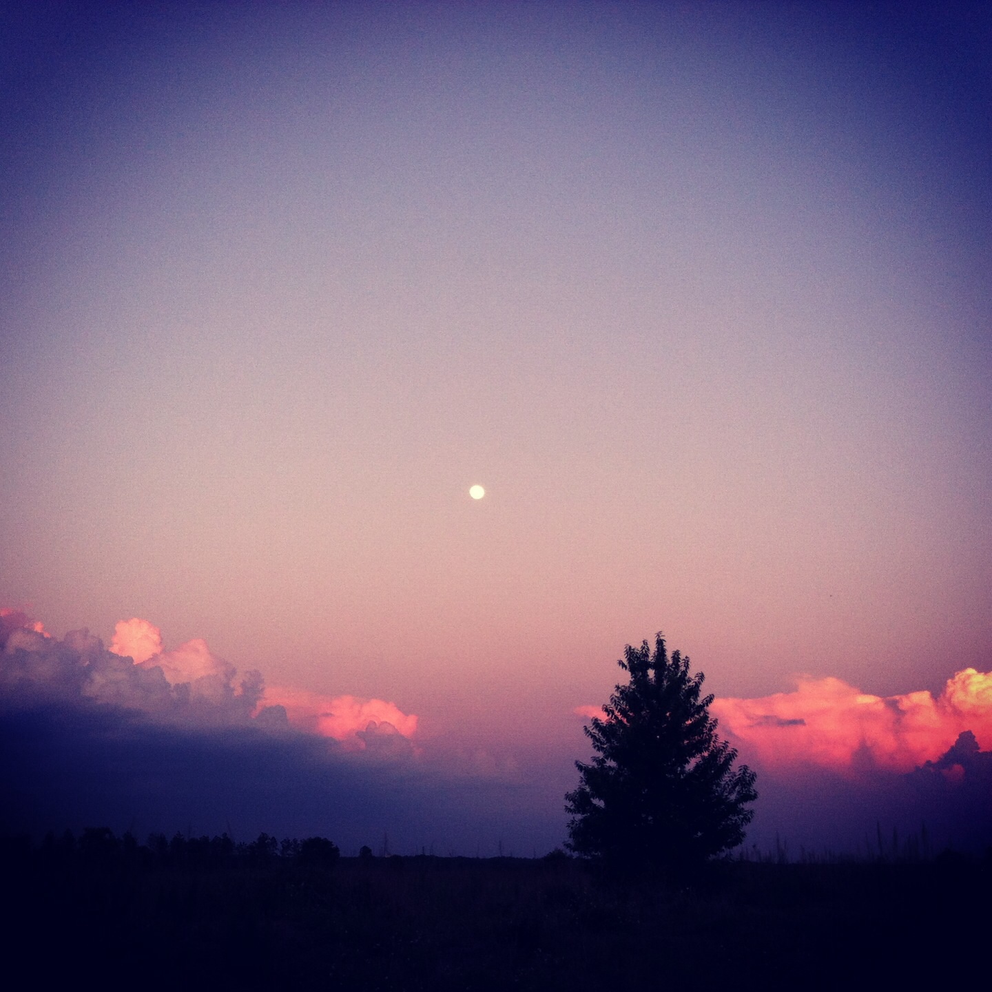 Landscape photographer