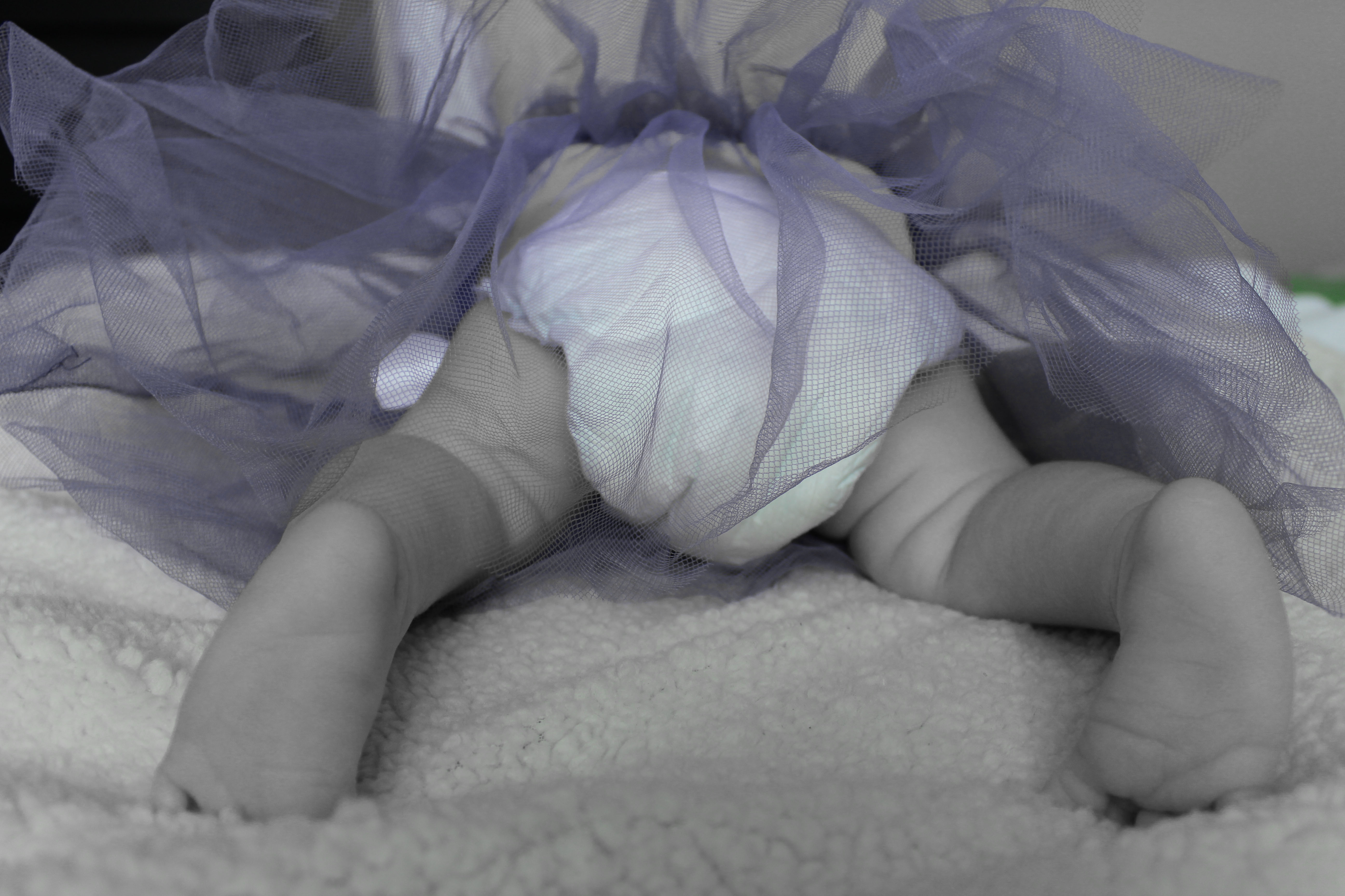 Family/new born Photographer