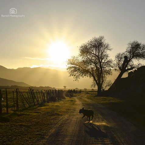 Diversely Capable Photographer for a Super Low Price!