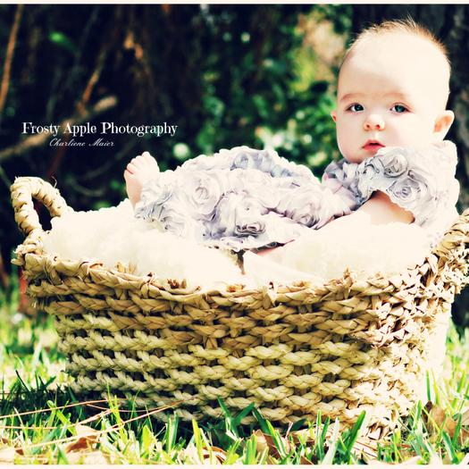 Newborn & Bridal Photographer available in Orlando, FL