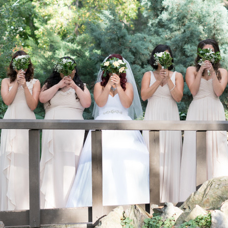 Wedding photography for $500