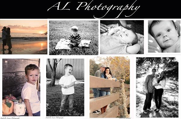 Portrait Photographer/ Wedding Photographer / Baby Photographer / Engagement Photographer