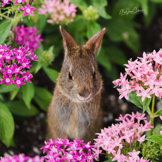 Capturing life. Creating art