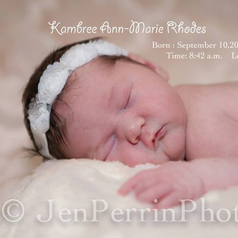 Newborn, Family & Portrait Photographer