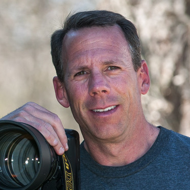 Professional Photographer
