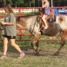 Pony parties /Photography