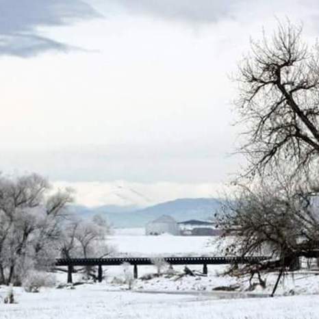 Northern Colorado photographer