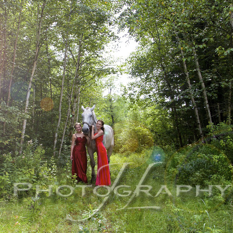 Creative Photographer - Central Mass