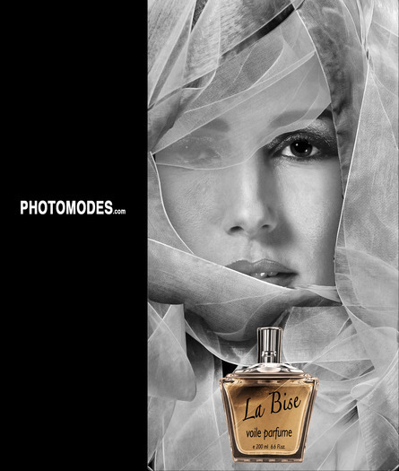 Professional Photographer & Photo Shop Expert