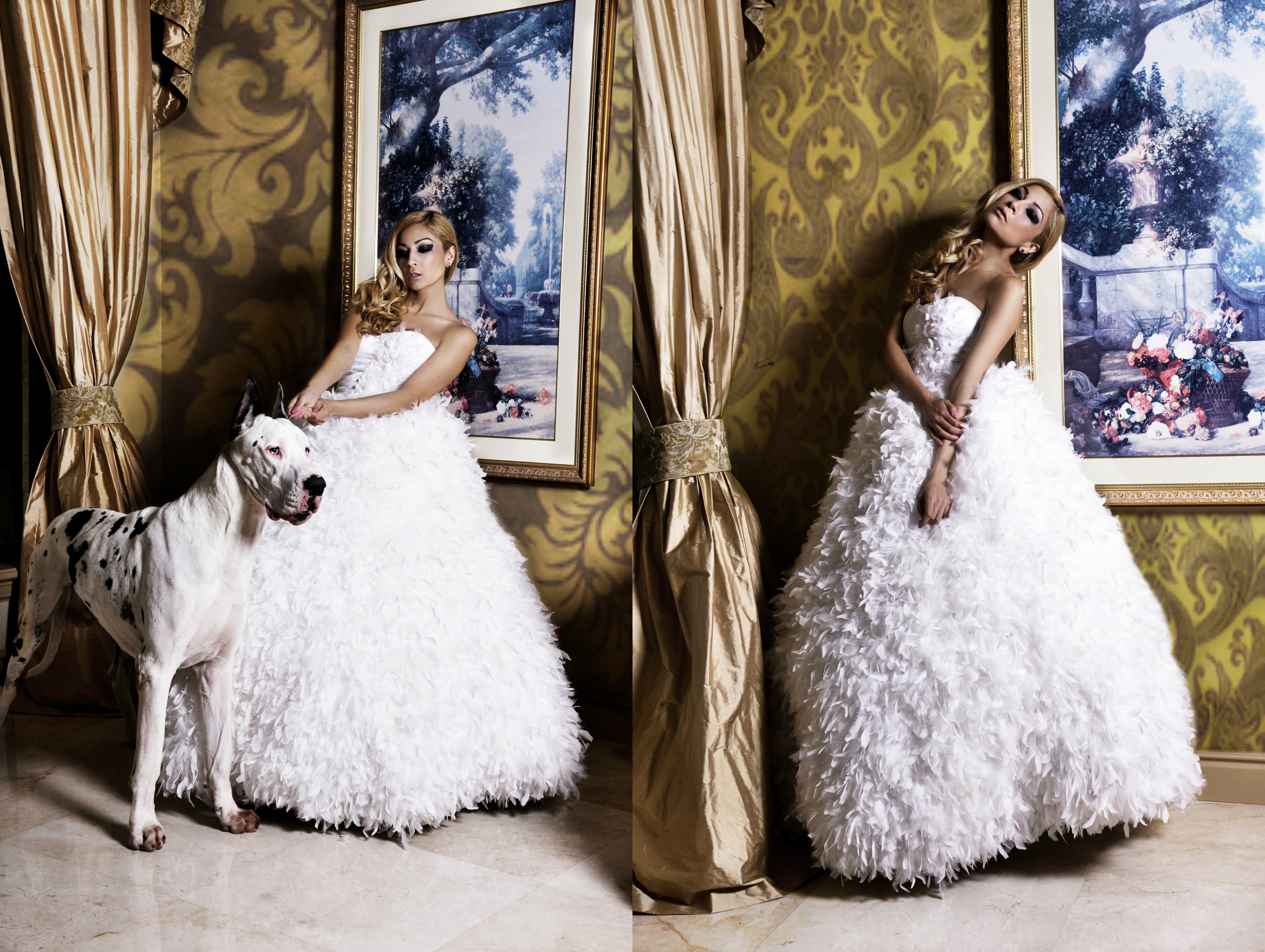 Charlotte Suarez Photography