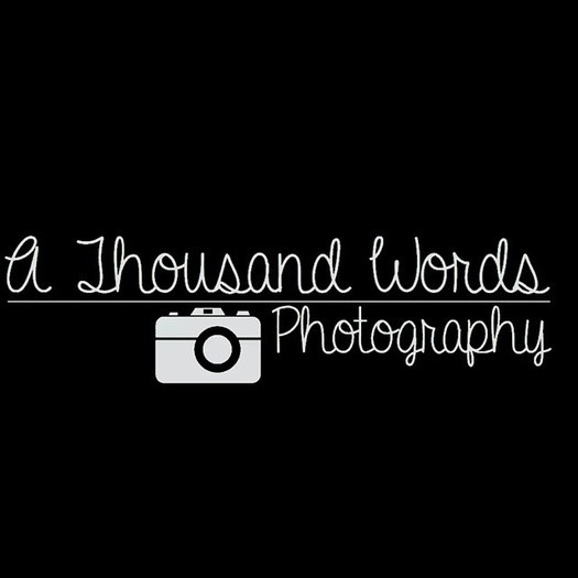 Freelance Photography
