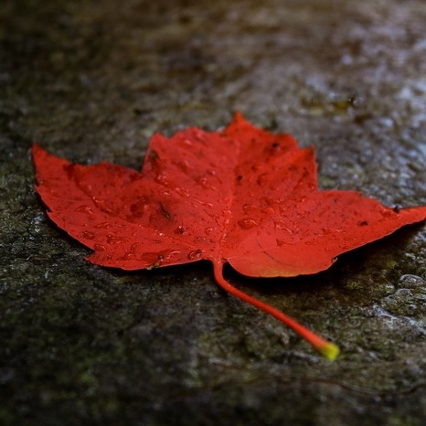 I am professional photographer.I have at least 10 years i can do Weddings,Birthday,Event Photography