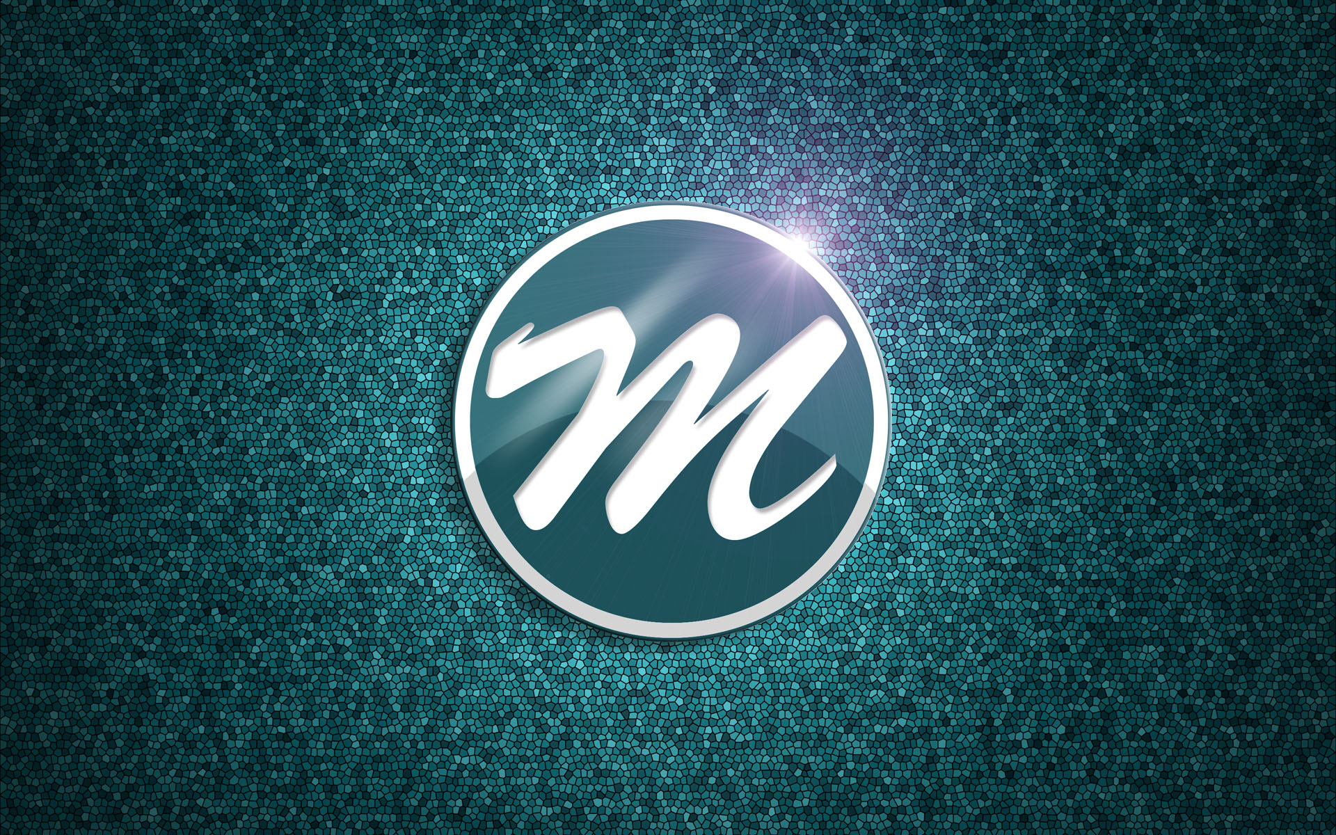 Photography/Videography/Grahic Designs