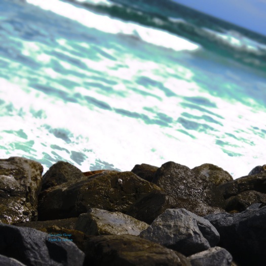 Free Photography