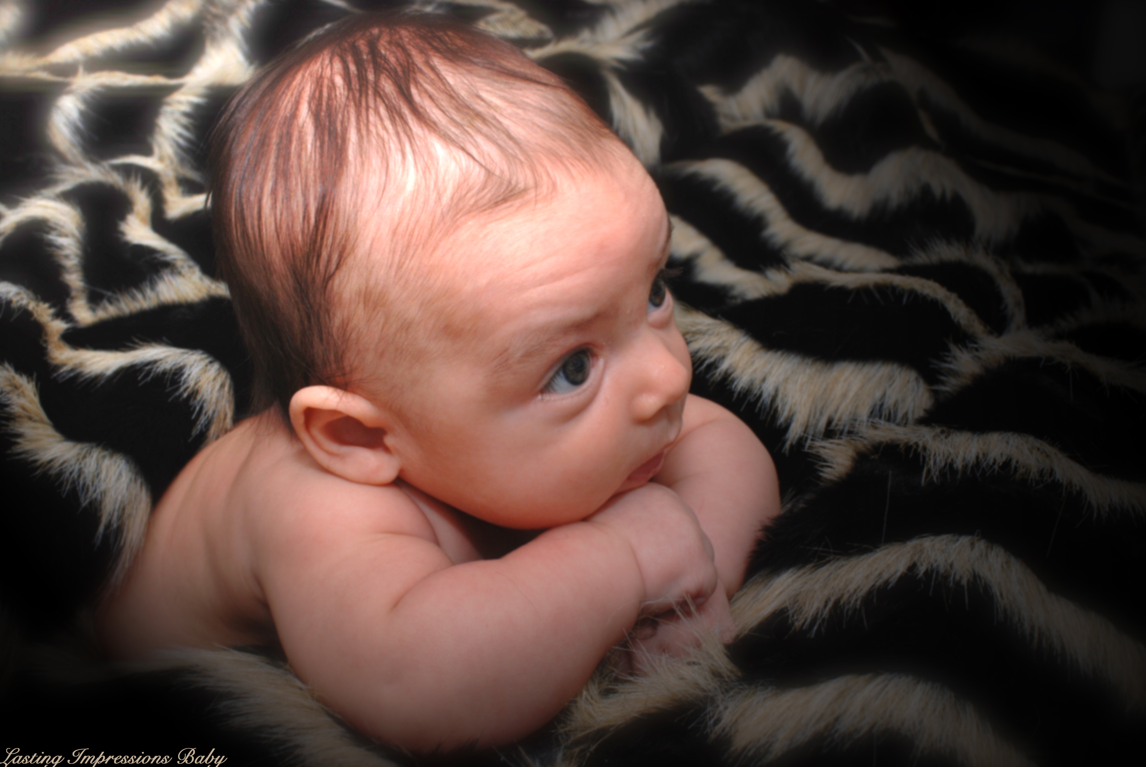 Lasting Impressions Photography