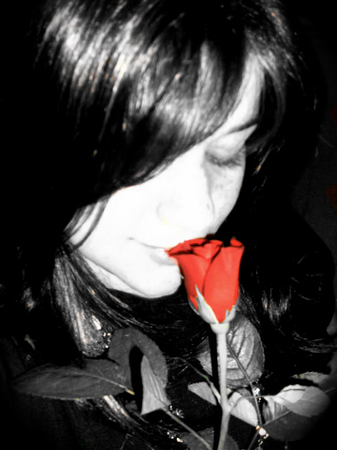 Kira's Photo - Capturing Life's Precious Moments