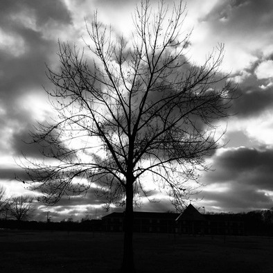 I am a great photographer and love what I do. I am also 22