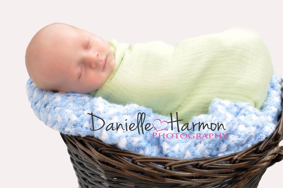 Danielle Harmon Photography