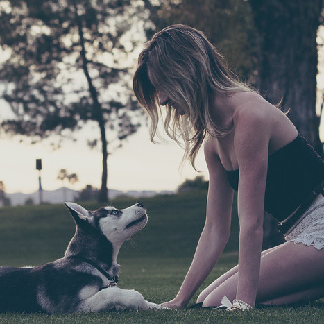 Pup Photography in Scottsdale and Greater Phoenix Area - I love dogs!