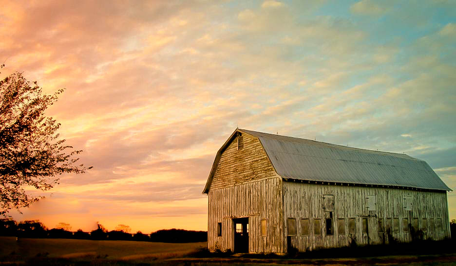 Capturing your memories one picture at a time!