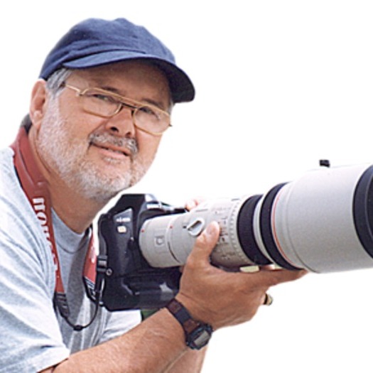 Excellent photographer available today
