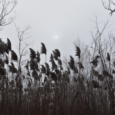 Mind's Eye Photography