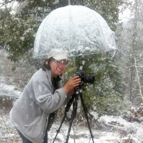 Professional photographer